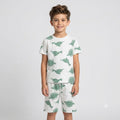 Kids' Playful Dinosaur Cotton T-Shirt & Shorts Set – Sage & White